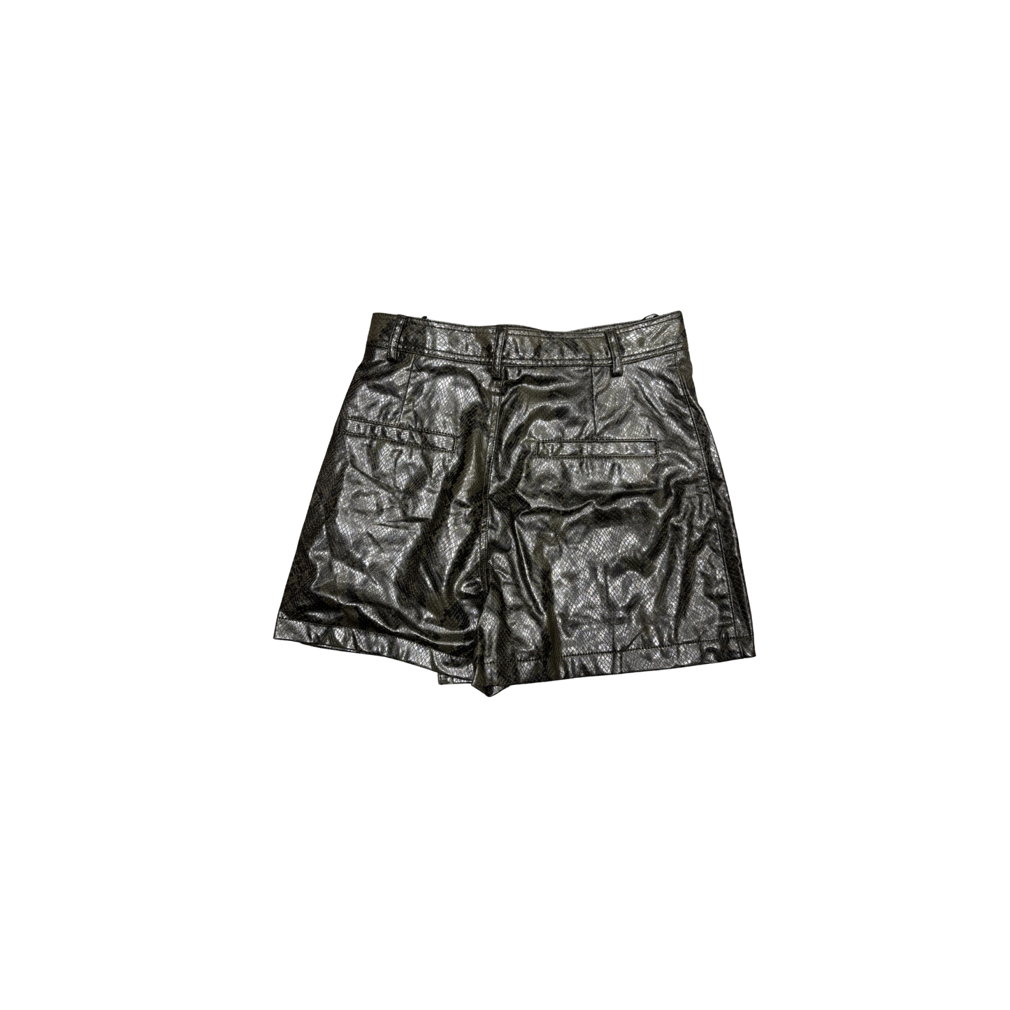 Z Skirt 0028