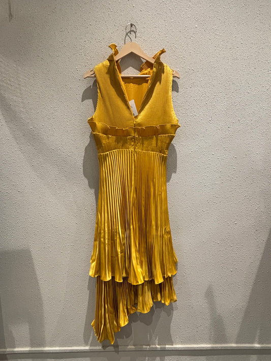 RK Dress 0030